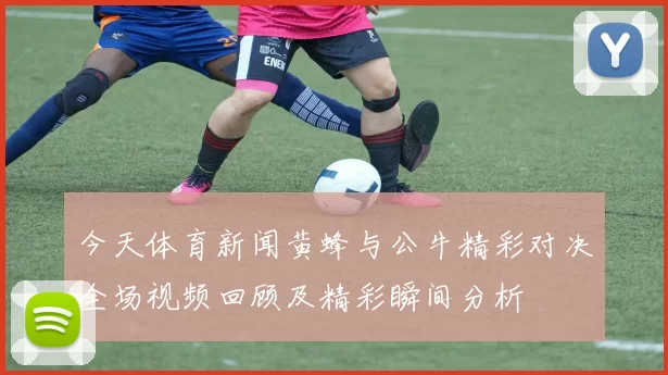今天体育新闻黄蜂与公牛精彩对决全场视频回顾及精彩瞬间分析