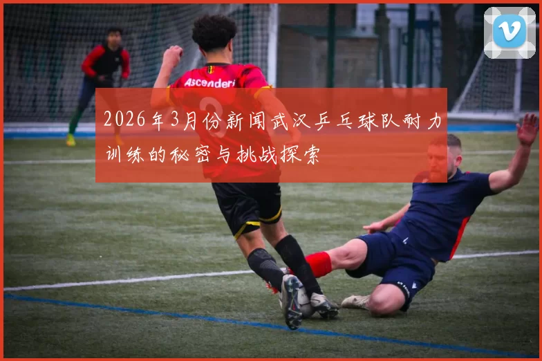 2026年3月份新闻武汉乒乓球队耐力训练的秘密与挑战探索